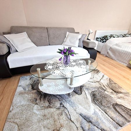 Aparthouse Apartamenty Centrum Sosnowiec Extérieur photo